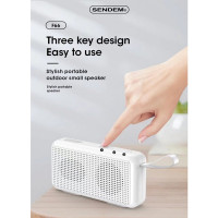  (ITSK101) ลำโพงบลูทูธ SENDEM SDM-F66 Wireless Speaker แบบพกพา เวอร์ชั่น 5.0 ประกันศูนย์ 1 ปี - P888 : SENDEM SDM-F66 Portable Wireless Speaker Version 5.0 1 Year Warranty - P888